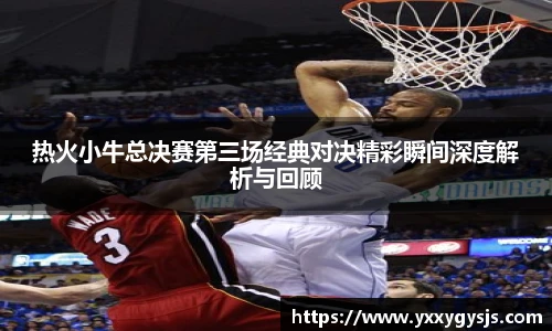热火小牛总决赛第三场经典对决精彩瞬间深度解析与回顾