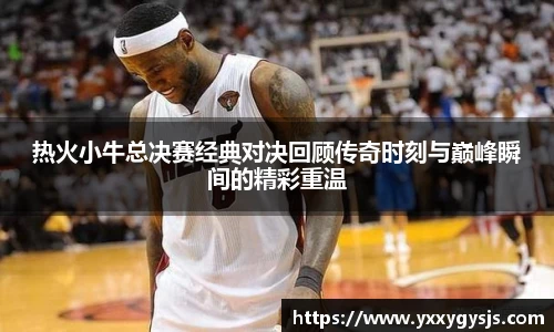 热火小牛总决赛经典对决回顾传奇时刻与巅峰瞬间的精彩重温